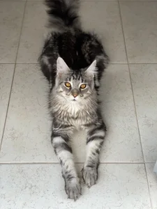 Tokio_Tokio Public Pic 5