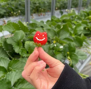 AKO_o0のPublicの 5枚の写真