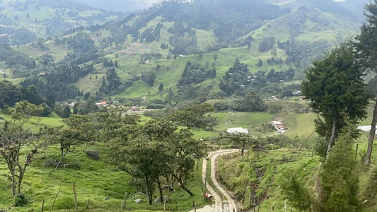 I LOVE NATURE!!🤞🏽🍃✨ this make me so happy 🫶🏾✨🍃🌻 de Amelie_Belle_  9 photos