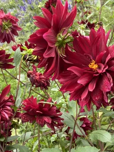 eno_pinkのPublicの 4枚の写真