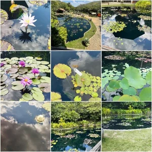 Aphrodite-777 ❤️‍🔥I invite you to my hobbies 💐 Pic 5