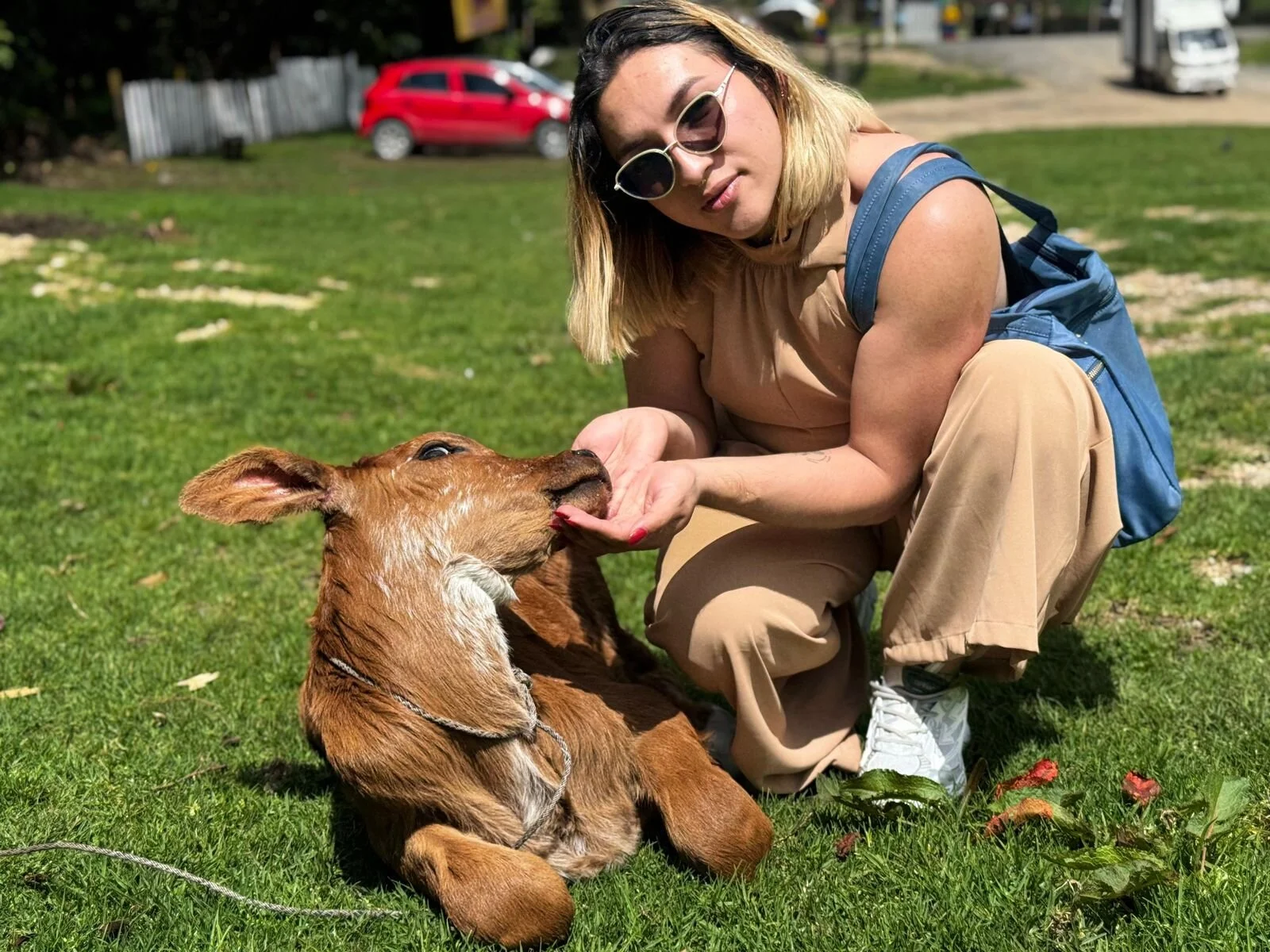 TomLondon_ Reconnecting with nature🏕 slika