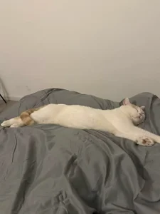 HANHAN886 Public Foto 4