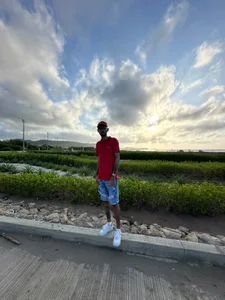 tatto_destroyerFER Bild