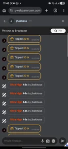 Panel11 My Tipper Hình 8