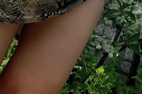 supernipll Public Pic 3