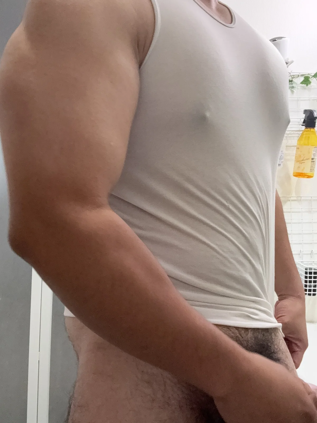 sukebegorilla Foto en Tendencia 8512