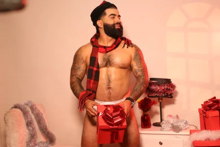 Lyon_vachのChristmas leonの 3枚の写真