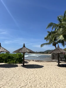 AnitaOwens Vietnam 圖片 6