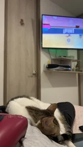 My babies 💕 de LITTLE-VIVI Foto