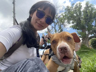 Ca-tmila Volunteer at an animal foundation🐶🐾 Bilde