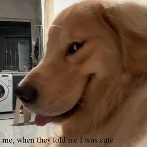 EvaThopson a few memes about me Pic 5