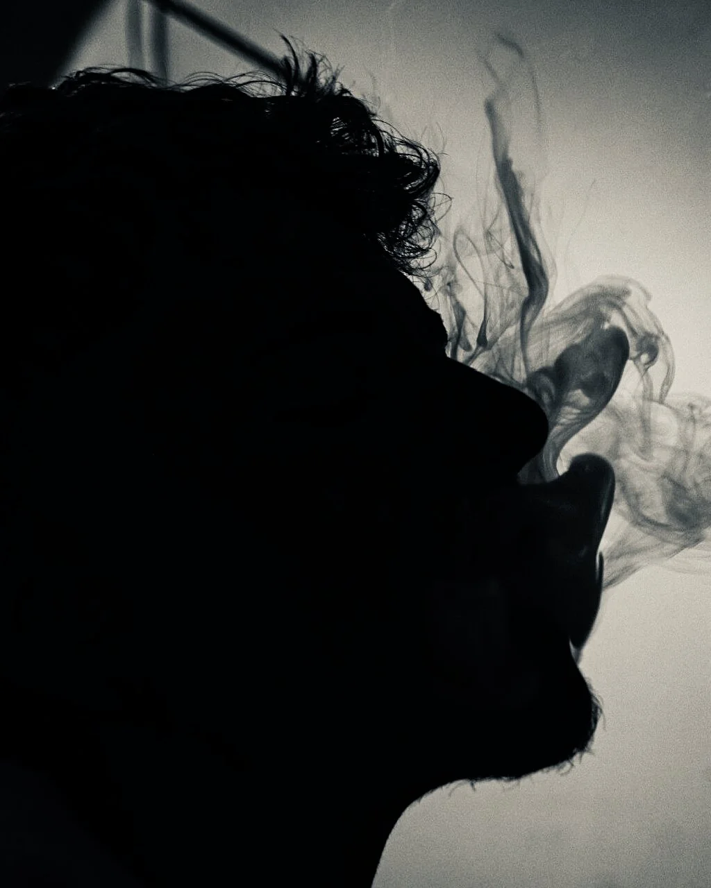 Mikey_TR Public Bilde 2