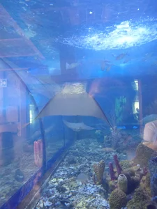 See the world. It's more fantastic than any dream od ArdentMisrule  4 snímek