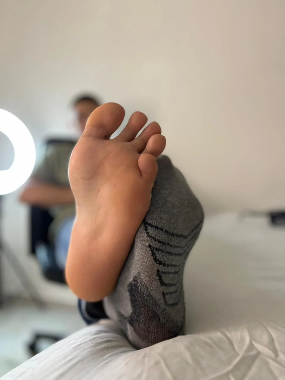 MrFox__ immagine di tendenza 7443