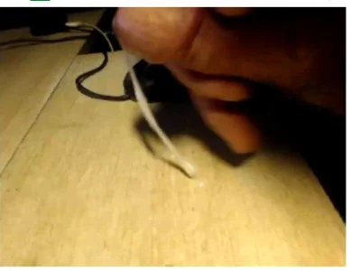 choupachup2 ejac Bilde 5