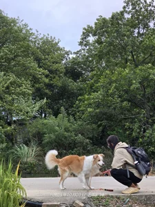 Mauriiceの日常记录の 7枚の写真