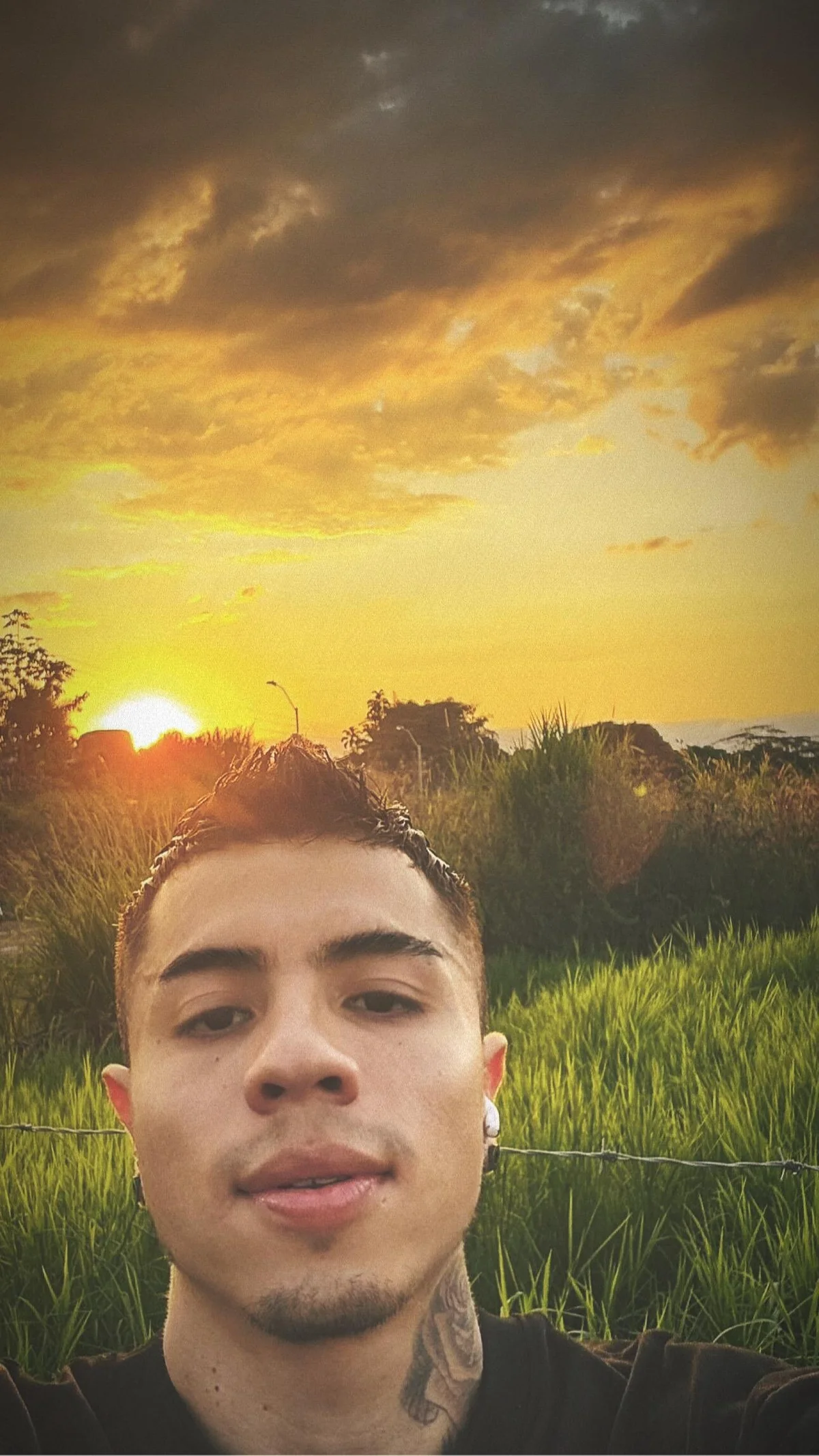 Charlie_Foxie 님의 트렌드 중인 사진  7331개