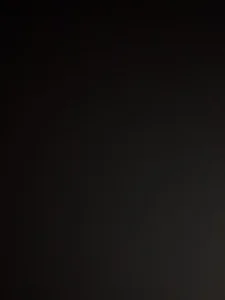 DavisuarezPublic Bild 4