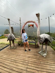 AnneDixie: Normal anne💗 ( 5 фото)