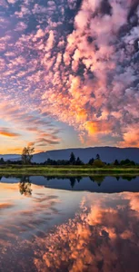 Audrey_Aura beauty that catches you Pic 5