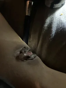 Cheefsquantos XXX nøgenfoto 9