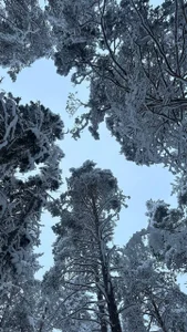 MerlinMeyer: 😻😻😻 ( 3 фото)