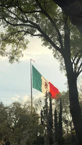 biel_bielのMeeeの 4枚の写真