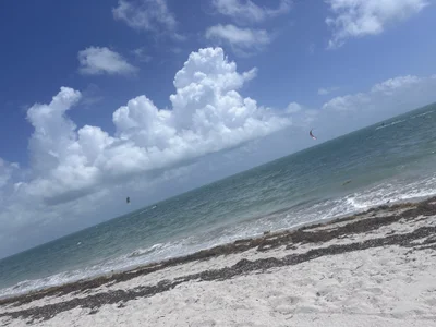 Lo que sea od takiyaki28  5 snímek