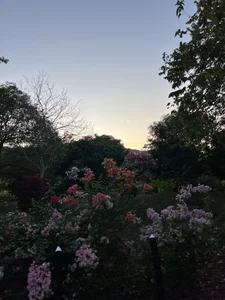 MARIA_SOF1A kullanıcısının landscapes albümü -  6 fotoğraf