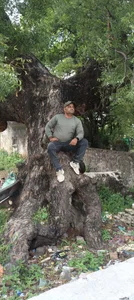 Sajidar Public รูป 