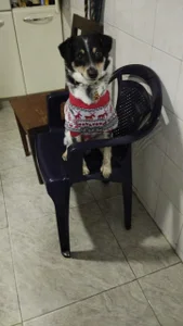 Julieta_Wall_ my birthday Pic