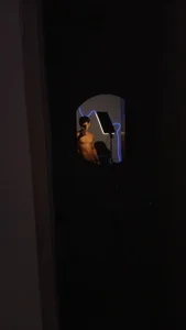 jossi12345j ME Foto 2