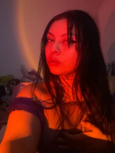 Public de Catsucker  4 Imagens