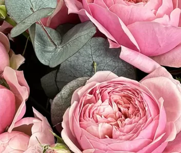 Zdjęcia Audrey_Aura bouquet:  7