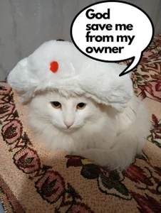 DesireKira My pretty cat 🙀 รูป  2