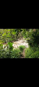 Annabell_Florez my escape spot, nature 💚💚💚 Pic 3