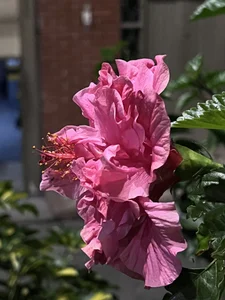 ronald_thompson20 Amo la fotografía. I love photography Pic 7