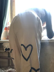 Fastdad@xh Public Fotka 4