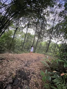 AfroSalvajeMountain Bild 8