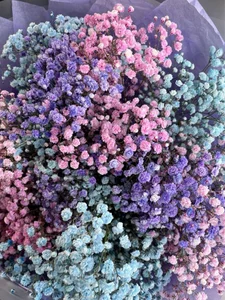 My favorite flowers od SonjaMonje  5 snímek