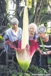 o0-69o Public Εικόνα 2