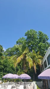 lucyheart_8 Day relax Pic 6