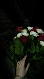 Public de Yummy_Yummy__  Imagens