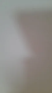 ratoncito_3Public Bild