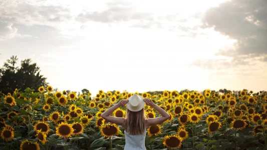 Iris_cherry Public Immagine  3