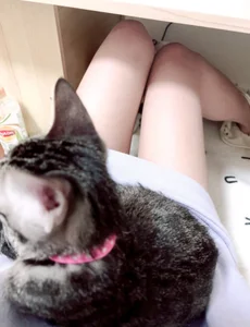 Fatis-Rin-Meows 代幣兌換25腿照 sexfoto 1