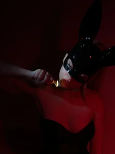 minimollyYour bunny图片