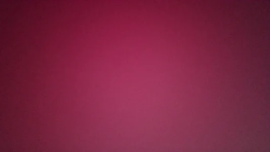 Bear0024 Public 사진