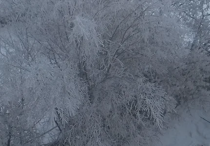 iced shackles de Audrey_Aura  2 Imagens